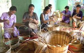 Yên Bái phấn đấu dạy nghề cho hơn 30.000 lao động nông thôn